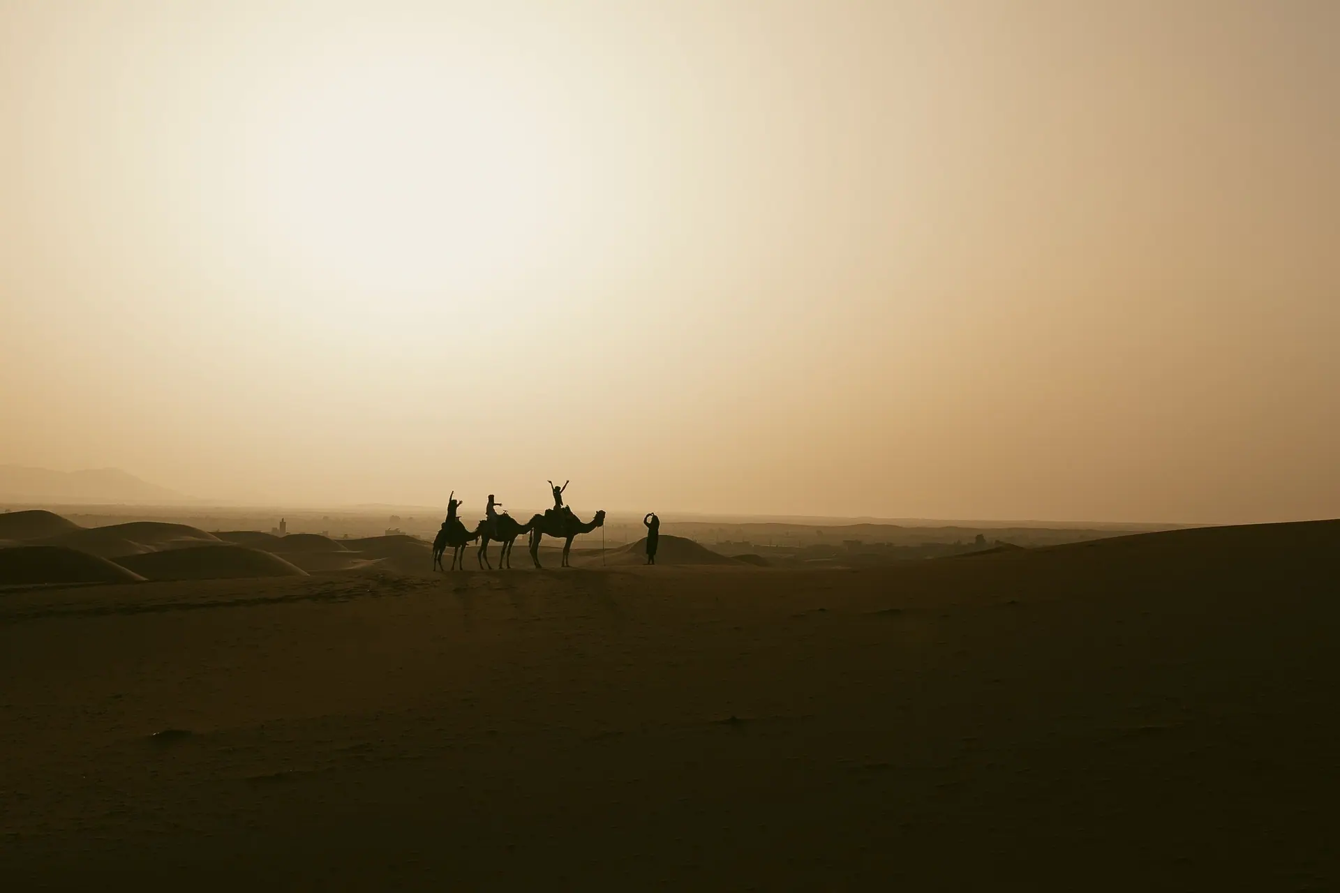 Silhouette of a camel caravan during sunset in the Sahara Desert near Merzouga, Morocco.